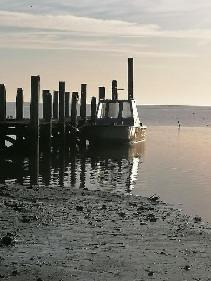 Dock10Texel Bed & Breakfast De Cocksdorp  Dış mekan fotoğraf